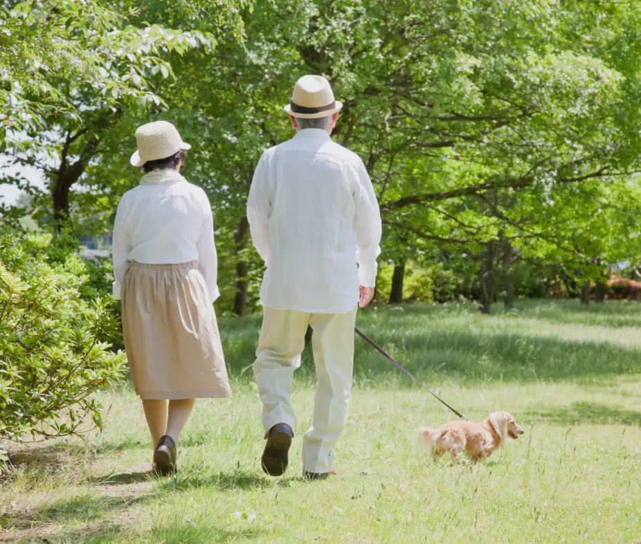 夫婦が犬を連れて散歩している様子